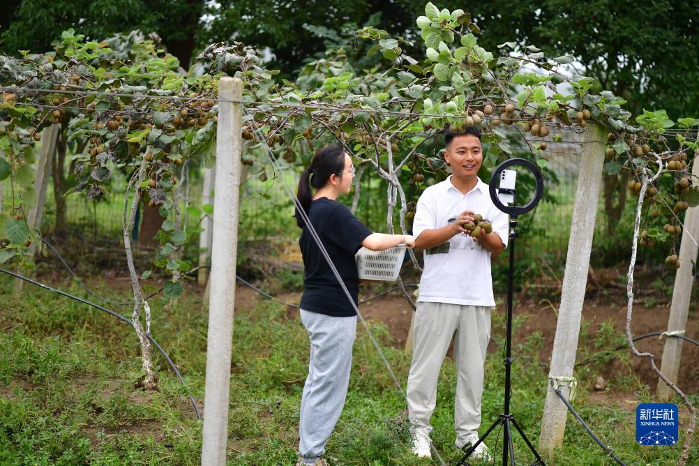 免费的捕鱼游戏